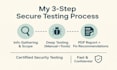 do penetration testing, vulnerability testing for a website
