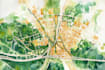 design fantasy map illustration event or city map