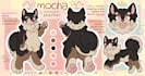 create fursona furry reference sheet anthro furry ref sheet anime sfw furry oc