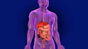 do professional 3d medical animations