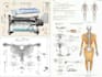 make scientific illustrations, figures, diagrams and patent drawings