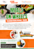 design editable canva templates, poster, flyer, social media posts