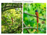 make your photos looks post ready