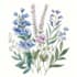 paint watercolor botanical illustrations