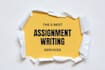 proofread and edit apa and mla papers in 12 hours