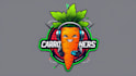 create high quality carrot logo with express delivery