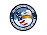 create exclusive and marvelous aviation logo design