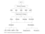 do time series analysis and regression analysis using r, rstudio, spss, stata
