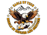 create an impressive eagle mascot logo