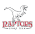create high quality raptor logo design