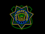 create modern police logo