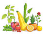 draw realistic plants, vegetables, fruits