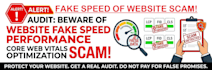 forensic audit website fake speed performance core web vitals optimization