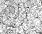 make a custom doodle collage or cartoon