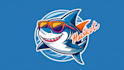 do creative shark mascot logo in 2 days