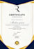 design professional certificate for school college companies and more