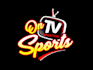 design high quality tv logo
