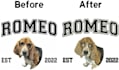 digitize your pet photo into embroidery dst pes emb files