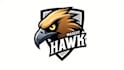 do awesome hawks head template hawk mascot logo
