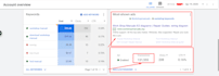 strategic google ads for shopify, wordpress and more
