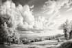 make a fantasy landscape, illustration