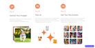 design and develop expert level mobile apps using flutterflow