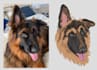 convert your photos into embroidery