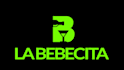 create a modern 2d logo reveal animation for your brand