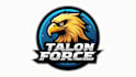 do creative eagle  mascot logo with free source file