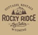 design a professional modern rustic logo