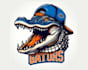 design high quality crocodile mascot logo with free source file