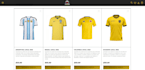 develop a professional and responsive web aplication