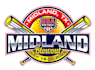 design a professional softball logo