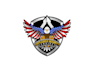 create graceful and fantastic eagle logo design