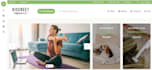 do wordpress website design and development