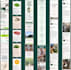 landing pages in funnelish