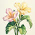 create a beautiful vintage botanical illustration poster
