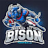 design high quality amazing buffalo bisons mascot  logo with unlimited revision