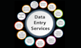 do fast and reliable professional data entry