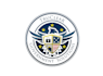 create wonderful and excellent government  logo design
