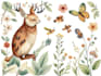 draw animal and botanical illustrations