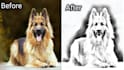 do pencil sketch drawing in just a few hours