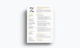 design a professional and modern resume or CV