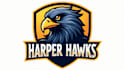 make an amazing harper hawk mascot logo  with express delivery