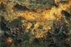 create a fantasy map