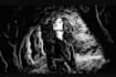 draw black and white illustrations