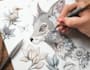 draw animal and botanical illustrations