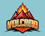 design professional volcano logo with my creative thinking