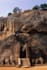 create documentary video about sigiriya, sri lanka