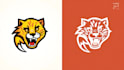 create cheetah claw logo for your business only 12 hours